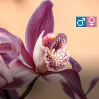 Люди-орхидеи: гиперчувствительность