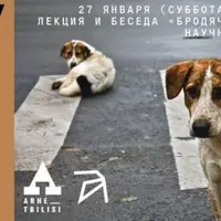 Бродячие собаки. Научный взгляд