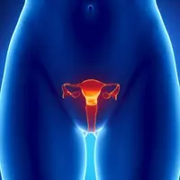 Audio-Psy-модуль «Очищение матки»