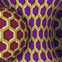 Зрительные иллюзии: нейробиология движения