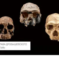 Механизмы расообразования