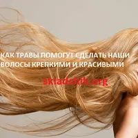 Как травы помогут сделать наши волосы крепкими и красивыми