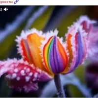 Нейросети для создания контента и бизнеса : полное обучение