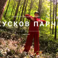 8 кусков парчи