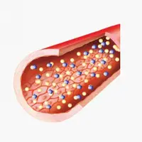 Школа Холестерина