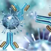 На переднем крае иммунологии. Иммунология. Общий обзор