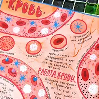 Окружающий мир. 16 блок