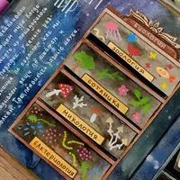 Окружающий мир. 17 блок