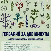 Гербарий за две минуты. Пособие по плоской сушке растений