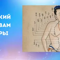 Практический курс основам акупунктуры. Модуль 2