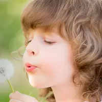 Сезонный аллергический ринит: все, что нужно знать пациенту