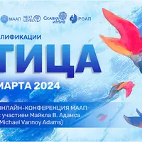 Школа Амплификации - 2024. Птицы