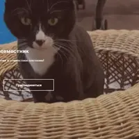 26-й марафон-совместник по плетению из бумажной лозы