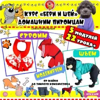 Базовый 2.0. Курс по шитью, построению и моделированию одежды для собак и котов