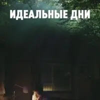 Разбор фильма Идеальные дни
