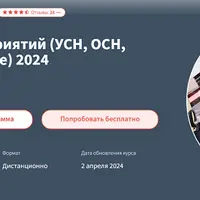 Налоги малых предприятий: УСН, ОСН, ООО, ИП, самозанятые 2024