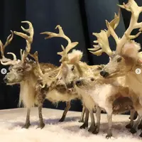 Северный Олень из глины