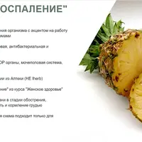 Протокол «Воспаление Аптека»