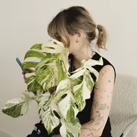 Как стилизовать пространство при помощи растений