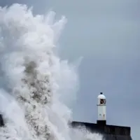 Новый старт в бушующем мире