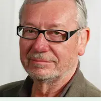 Об амбивалентности и использовании аналитика. Взгляд современного кляйнианского психоанализа