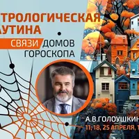 Астрологическая паутина. Связи домов гороскопа