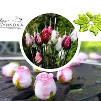 Волшебные бутоны и листья