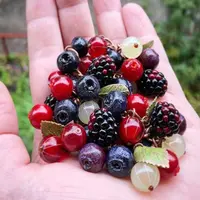 Большой ягодный курс