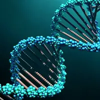 Высоковибрационный интенсив: Сотворение тела