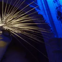 Жизнь в мире форм