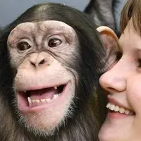 Почему мы улыбаемся? Биология мимики