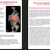 Анатомия для фитнес-тренера