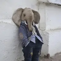 Mr. Elephant
