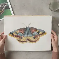 Бабочка павлиноглазка