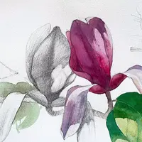 Природные мгновения