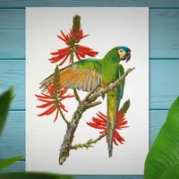 Акварельные птицы и дикая природа