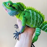 Водяная агама