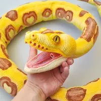 Королевский Питон Лимон