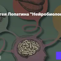 Нейробиология восприятия. Лекция 6: Обоняние