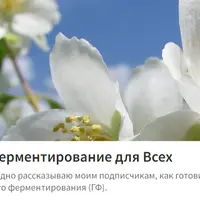 Горячее ферментирование