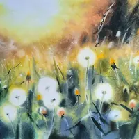 Одуванчики