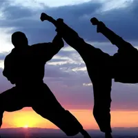 Самооборона для всех. Русское боевое искусство. Восьмой семинар