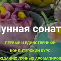 Лунная соната