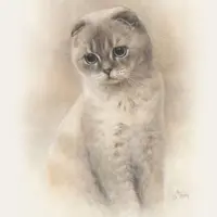 Портрет кошки