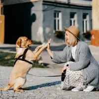 Дрессировка с любовью