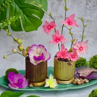 Шоколадная экзотика