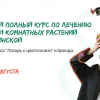 Самый полный курс по лечению и реанимации комнатных растений
