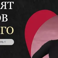 Пятьдесят оттенков турецкого. Уровень B1, ступень 1