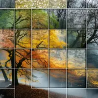 Знакомство со Stable Diffusion