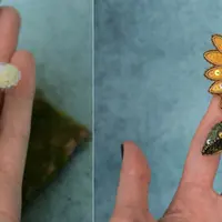 Клуб "Тайная комната" (июль-август 2024)